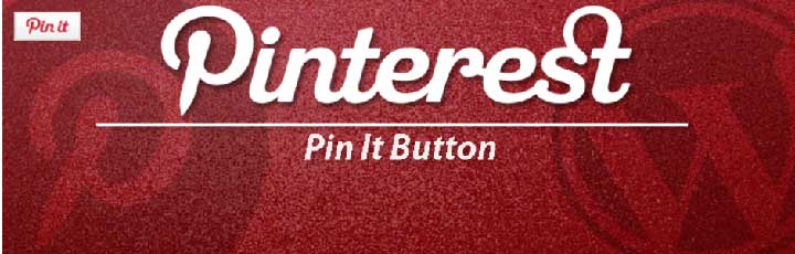 Pinterest pin it button on image hover voor wordpress