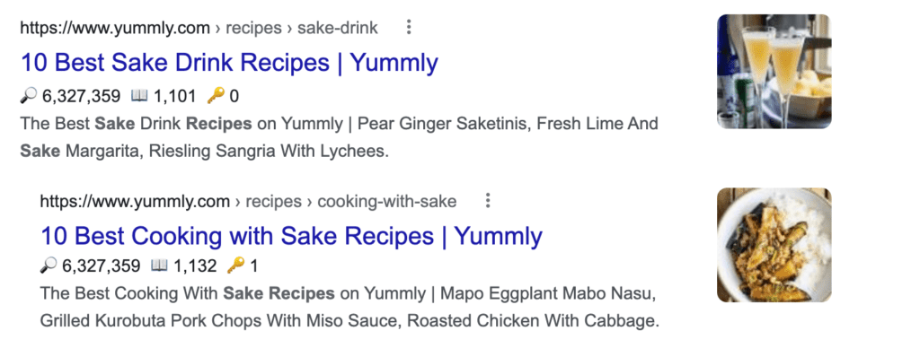 Two different search intents from one site in the serp